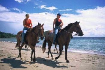 Reiten auf den grünen Wegen von Korfu